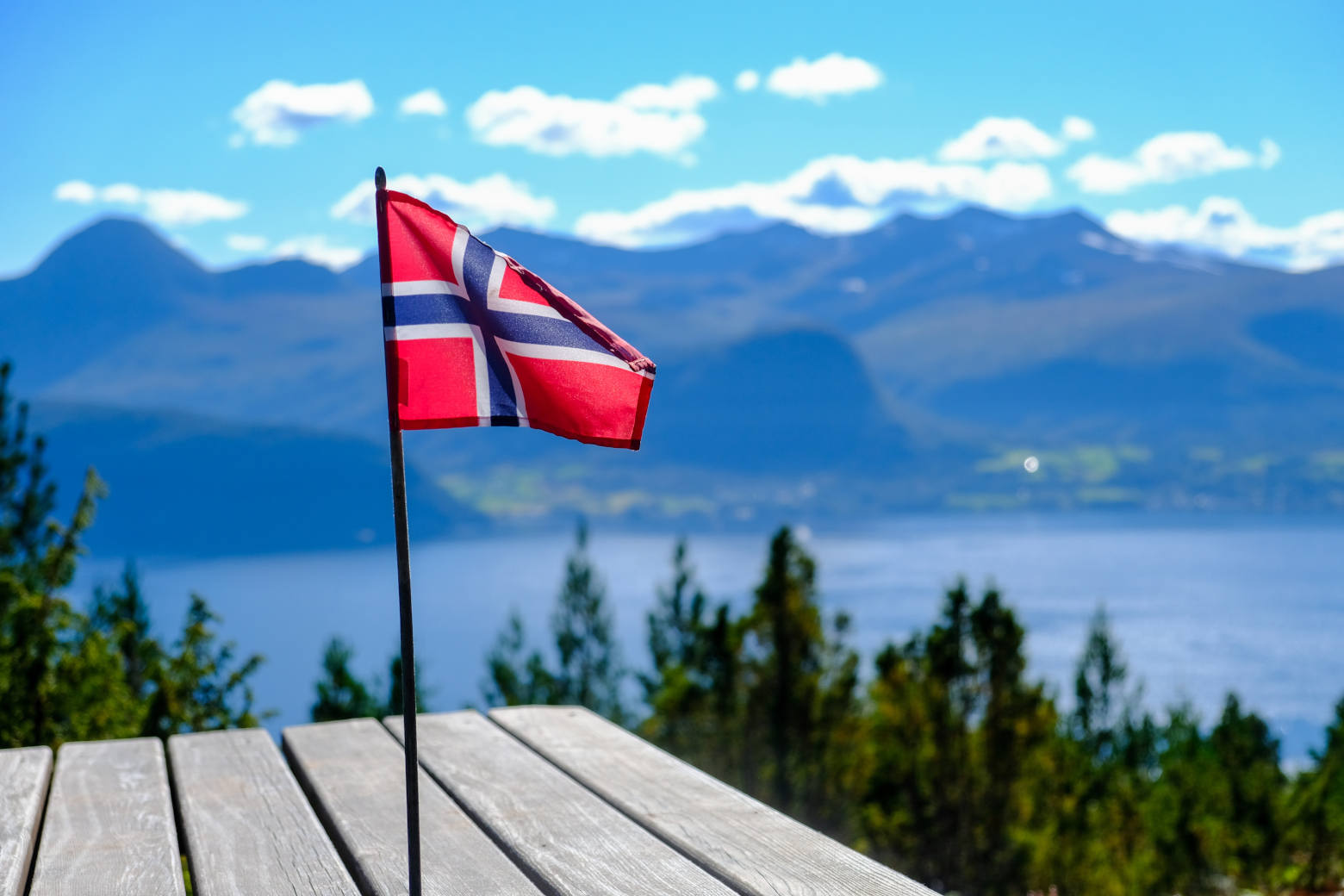 Norwegen zieht die Notbremse: KI soll aus den Grundschulen verschwinden