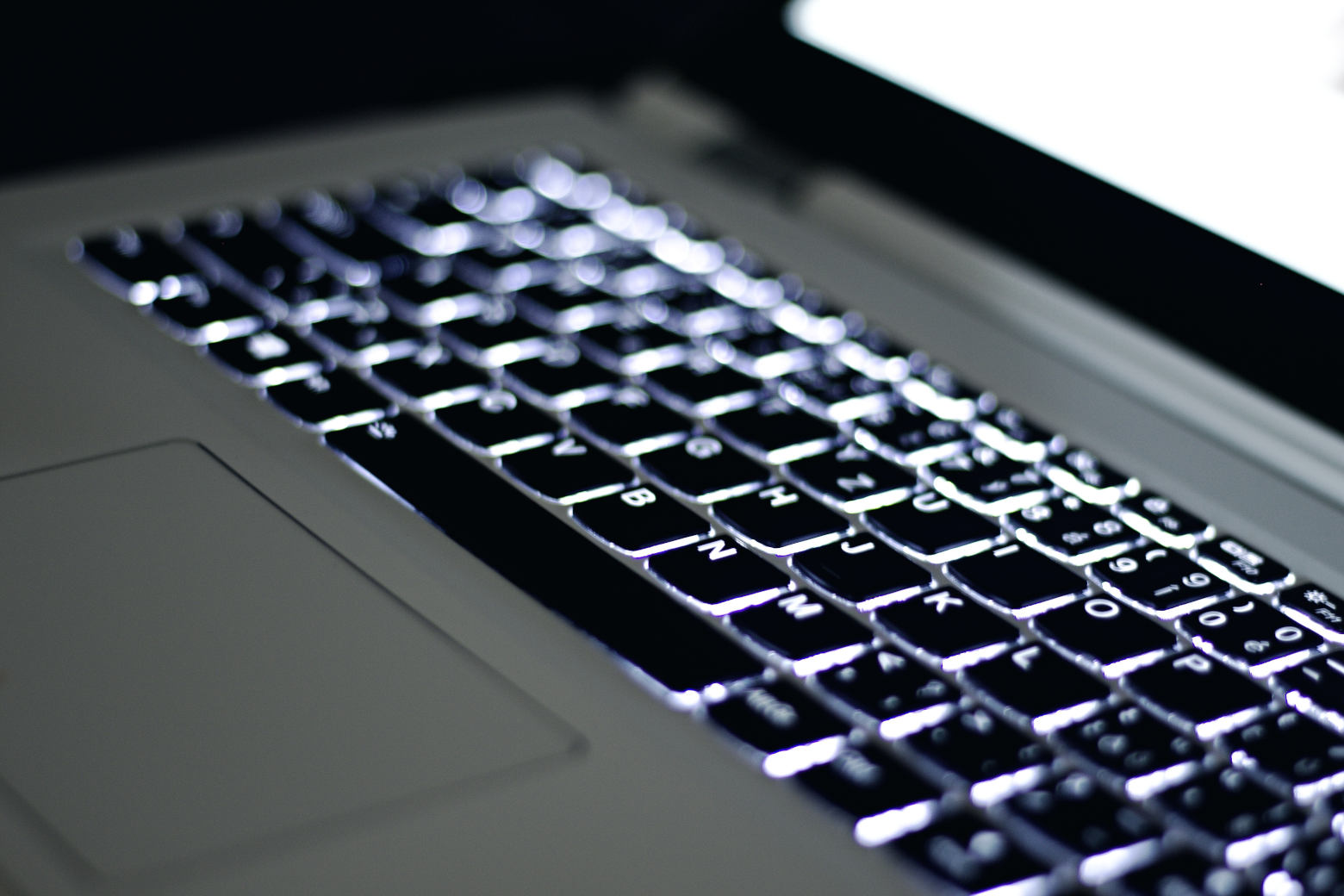 Webbrowser für Webentwicklung: Diese Browser nutze ich [2026]
